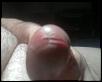 precum on cock head