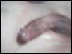 Click image for larger version. 

Name:	$REFY3XV.jpg 
Views:	1069 
Size:	10.1 KB 
ID:	20152
