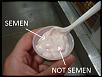 Click image for larger version. 

Name:	yogurt-semen-not-semen.jpg 
Views:	3029 
Size:	149.3 KB 
ID:	31744