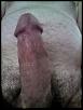 Click image for larger version. 

Name:	1452388601808.jpg 
Views:	427 
Size:	17.8 KB 
ID:	48609