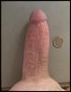 Click image for larger version. 

Name:	Money Shot 3.jpg 
Views:	390 
Size:	29.1 KB 
ID:	54528