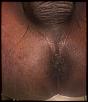 Click image for larger version. 

Name:	MY BROWN PUSSY .JPG 
Views:	204 
Size:	26.3 KB 
ID:	55142