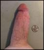 Click image for larger version. 

Name:	Money Shot 2.jpg 
Views:	482 
Size:	36.6 KB 
ID:	55772