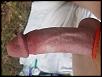 Click image for larger version. 

Name:	horizontal w red cock ring.jpg 
Views:	257 
Size:	24.7 KB 
ID:	56055