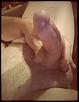 Click image for larger version. 

Name:	mxxxlm  011.jpg 
Views:	125 
Size:	13.1 KB 
ID:	60444
