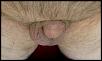 Click image for larger version. 

Name:	Tiny Cock 3.jpg 
Views:	135 
Size:	38.3 KB 
ID:	62336