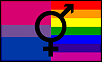 Bisxual Flag Combined With Gay Flag