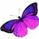 SweetSamantha218's Avatar