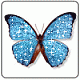 Butterfly Dancer's Avatar