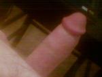the_fella's Profile Picture