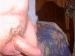 dano477's Profile Picture