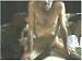 thinman521z's Profile Picture