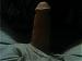 topdog5623's Profile Picture